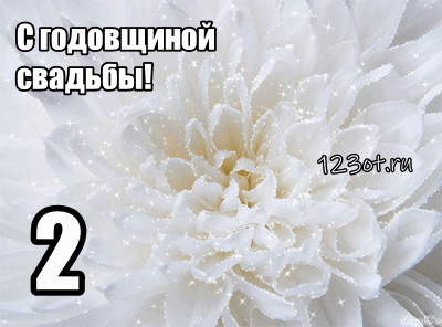 Открытка 2 года - бумажная свадьба - Белая открытка с цветком, блестки, поздравление | Красивая открытка #59