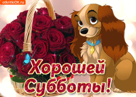Открытка Открытки на субботу - Открытка с собакой и розами | Красивая открытка #181