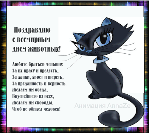 Открытка Открытки с днем защиты животных - Черный кот с синими глазами. Открытка. | Красивая открытка #6