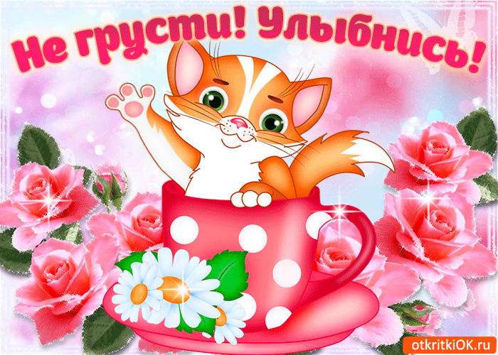 Открытка Не грусти - Открытка с котенком в чашке: милая картинка | Красивая открытка #63
