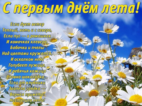 Открытка С первым днём лета - Полевые цветы: открытка с ромашками | Красивая открытка #21