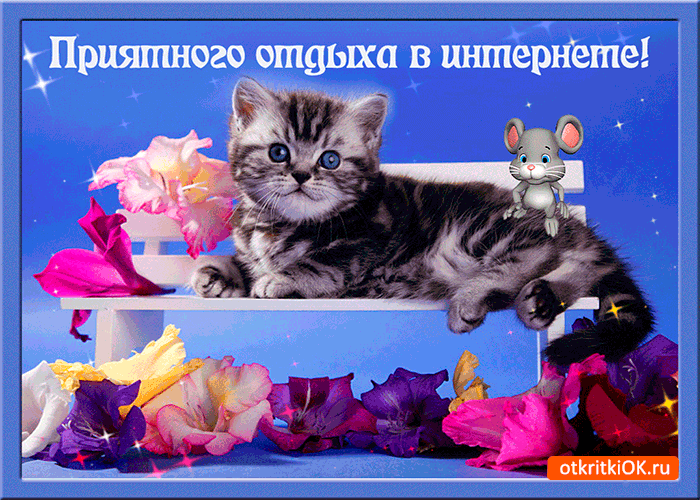 Открытка Открытки хорошего отдыха - Открытка с котенком и мышкой на сиреневом фоне | Красивая открытка #77