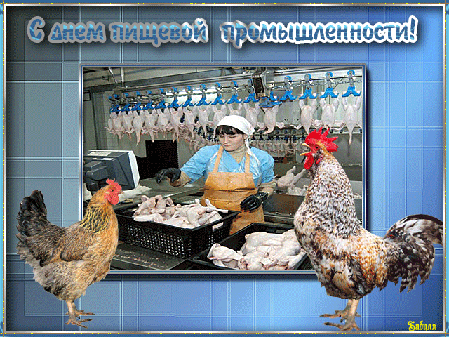 Открытка Открытки на день работников пищевой промышленности - Куры и петухи на открытке: забой, птицефабрика | Красивая открытка #16