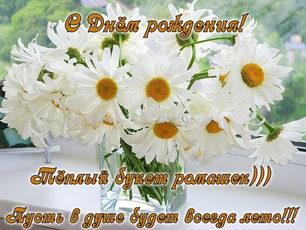 Открытка С ромашками - Букет белых ромашек в вазе | Красивая открытка #18