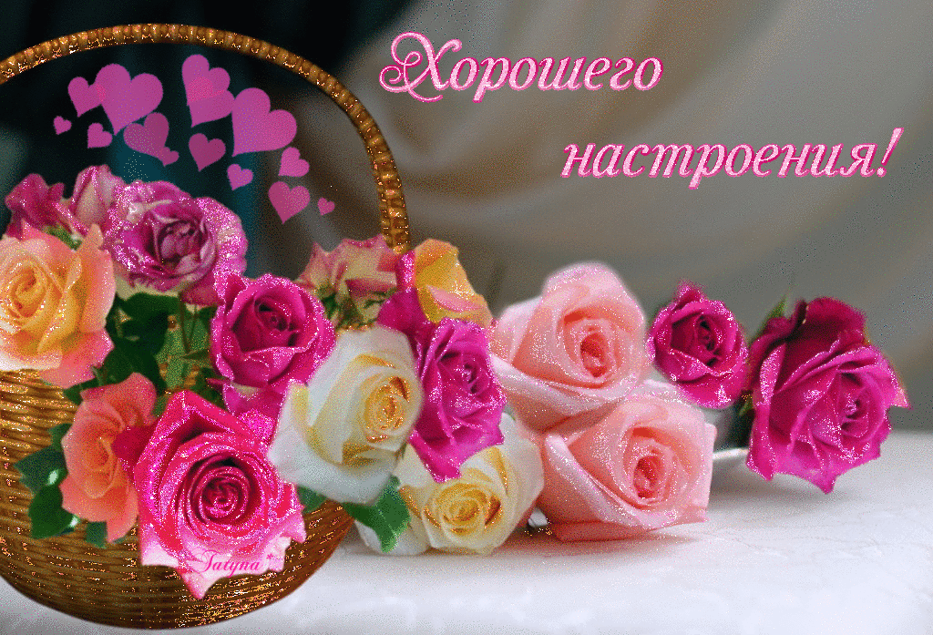 Открытка хорошего настроения - Букет роз: нежность и красота | Красивая открытка #48