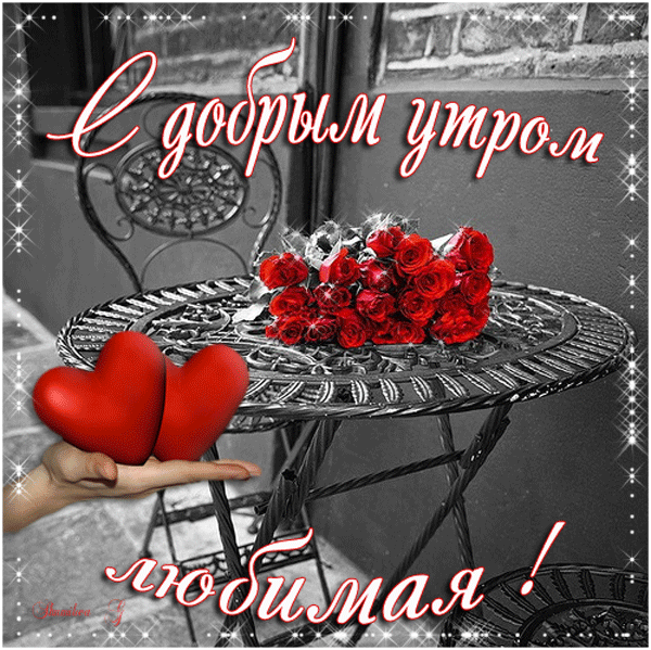 Открытка Открытки с добрым утром любимая - Букет роз на фоне металлической ограды | Красивая открытка #3