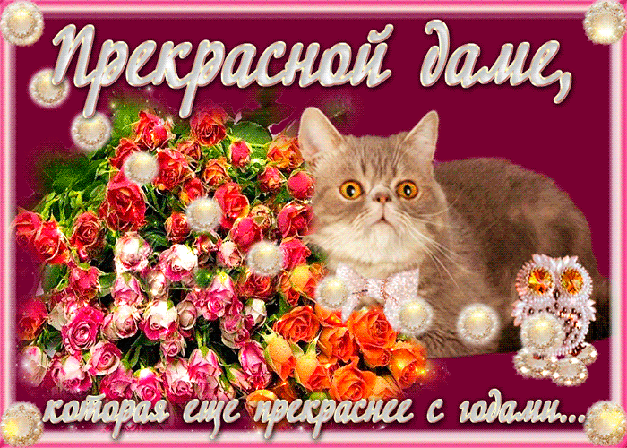Открытка Ты прекрасна - Открытка с котенком и цветами | Красивая открытка #29