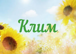 Открытка Открытки с именем Клим  - Открытка с подсолнухами  Яркая поздравительная открытка | Красивая открытка #23