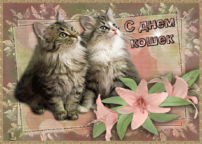 Открытка День Кошек - Открытка с котенком и лилиями | Красивая открытка #25