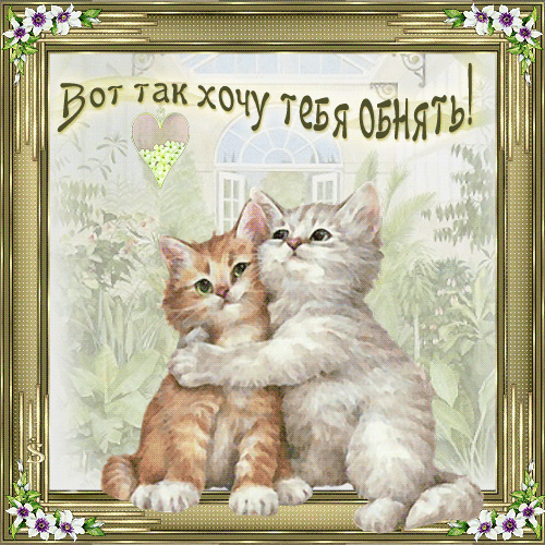 Открытка Открытки обнимаю - Открытка с котятами: милые котята в обнимку | Красивая открытка #34