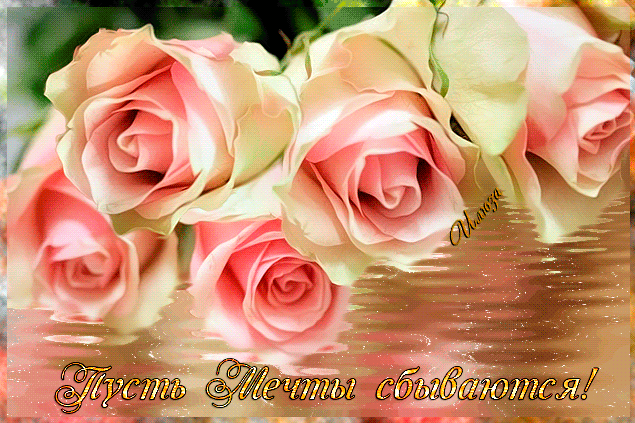 Открытка Исполнения желаний - Розовые розы на водном фоне | Красивая открытка #14
