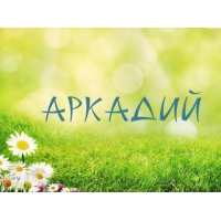 Открытка открытки с именем Аркадий  - Открытка: поле ромашек и травяной фон | Красивая открытка #220