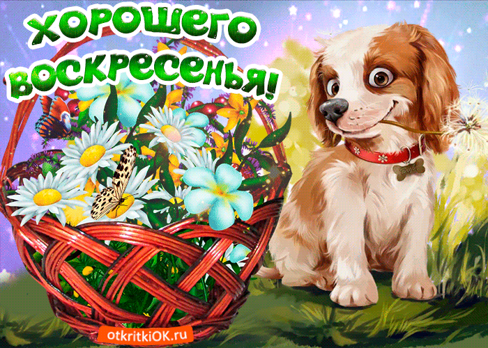 Открытка Выходные - Открытка с щенком и корзиной цветов | Красивая открытка #3