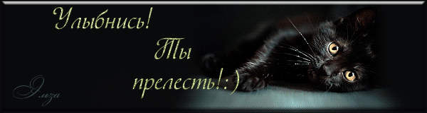 Открытка Открытки улыбнись - Черный кот на открытке: милый взгляд | Красивая открытка #135