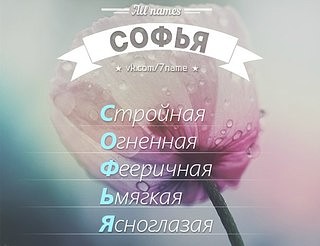 Открытка открытки с именем Софья - Розовый цветок с каплями росы - открытка | Красивая открытка #1