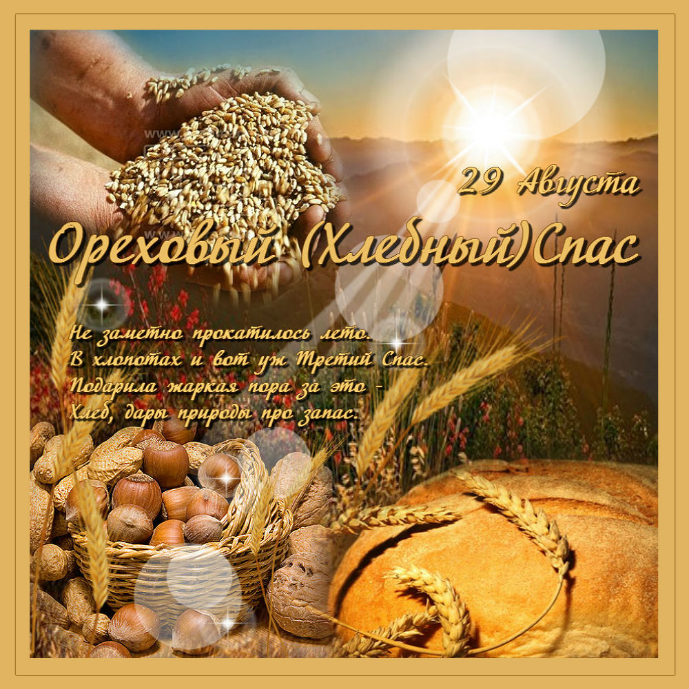 Открытка Открытки с Ореховым Спасом - Открытка «Спас»: пшеница, хлеб, скошенное поле | Красивая открытка #3