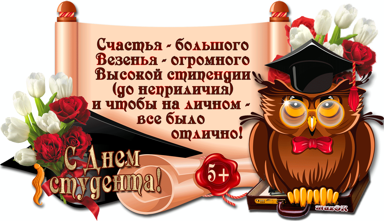 Открытка Открытки с днем студента - Открытка с совой и выпускником: поздравление с днем студента | Красивая открытка #30