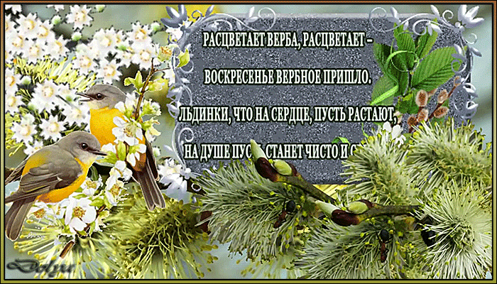Открытка Вербное Воскресенье - Открытка с цветущей вишней и птицей | Красивая открытка #251