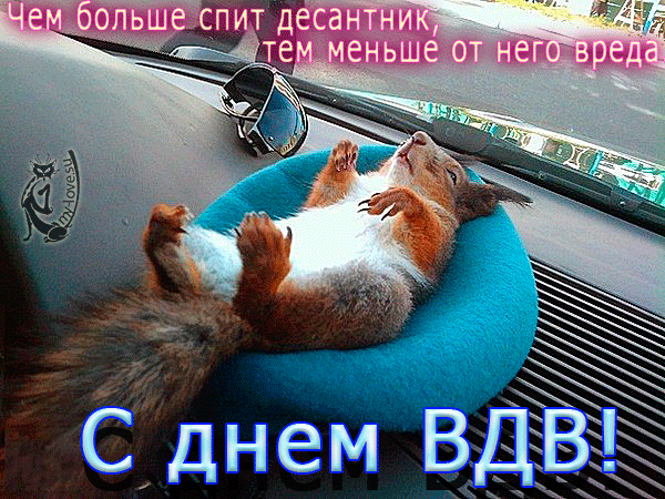 Открытка День ВДВ - Белка в голубом: смешная открытка ко Дню ВДВ | Красивая открытка #46