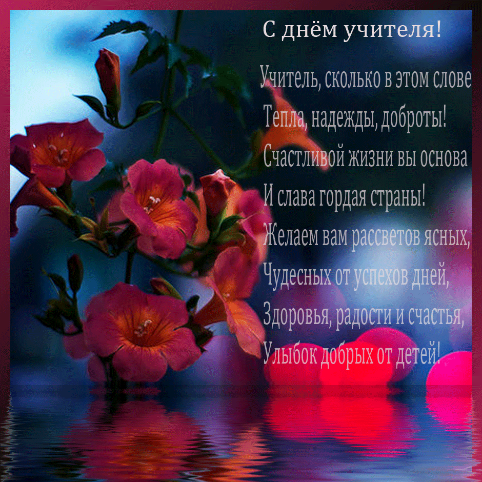 Открытка День учителя - Открытка с красными маками на воде | Красивая открытка #166