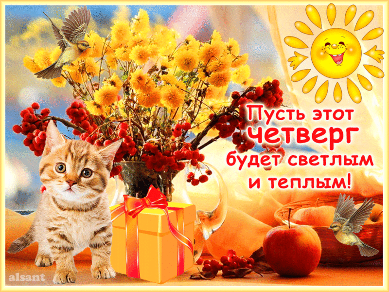 Открытка Открытки на четверг - Котенок и осенние ягоды: праздничная открытка | Красивая открытка #159