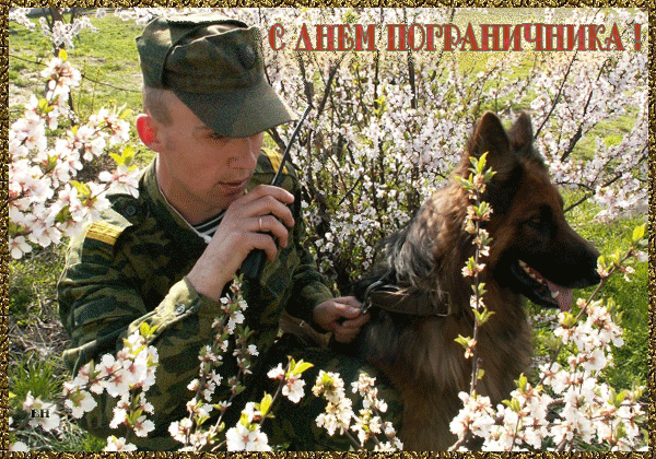 Открытка Открытки с днем пограничника - Солдат с собакой на фоне цветущих деревьев | Красивая открытка #46
