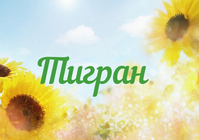 Открытка открытки с именем Тигран - Открытка с подсолнухами на фоне голубого неба | Красивая открытка #6