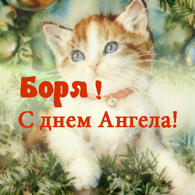Открытка открытки с именем Борис - Милый котенок на открытке: поздравление с праздником | Красивая открытка #13
