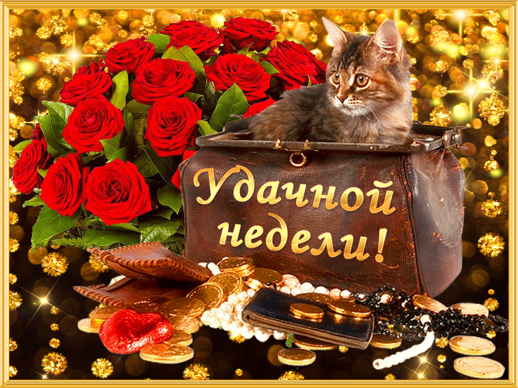 Открытка Удачи - Открытка с котом, розами и золотом | Красивая открытка #160