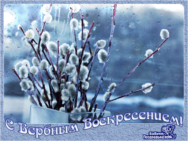 Открытка С вербным воскресеньем - Пушистые ветки, зимняя открытка, снег, ваза | Красивая открытка #6