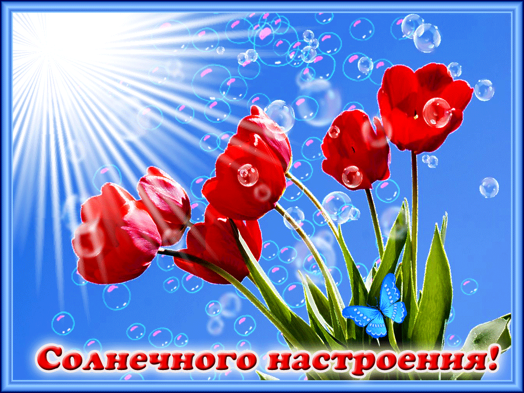 Открытка Открытки хорошего настроения - Открытка с красными тюльпанами и бабочкой | Красивая открытка #75