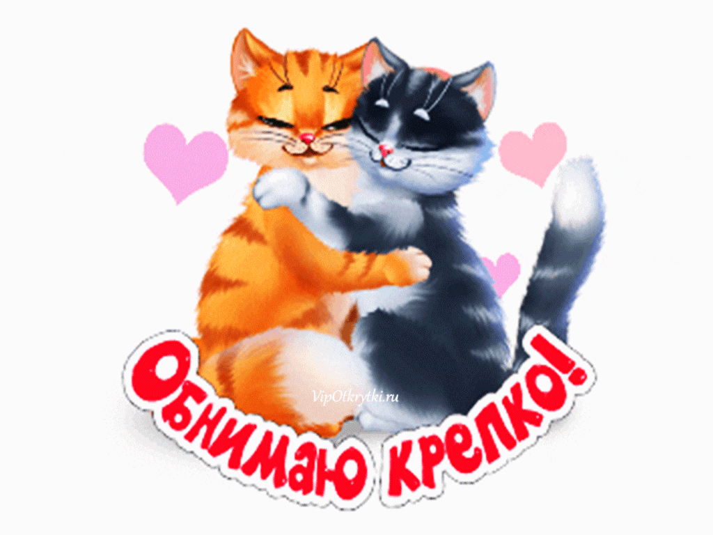 Открытка Обнимаю - Открытка с котятами: рыжий и черный обнимаются | Красивая открытка #153