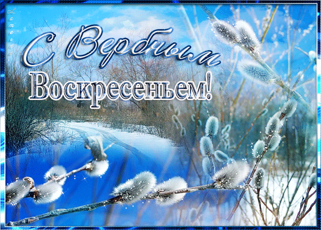 Открытка С вербным воскресеньем - Верба на снегу: зимняя открытка с ветками | Красивая открытка #119