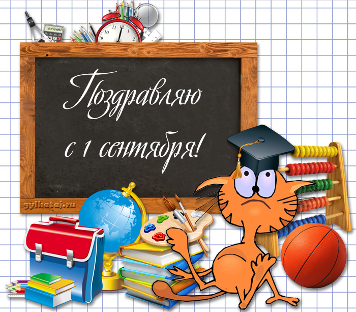 Открытка открытки с приколами на день знаний  - Открытка с 1 сентября: Милый кот и школьные принадлежности | Красивая открытка #19