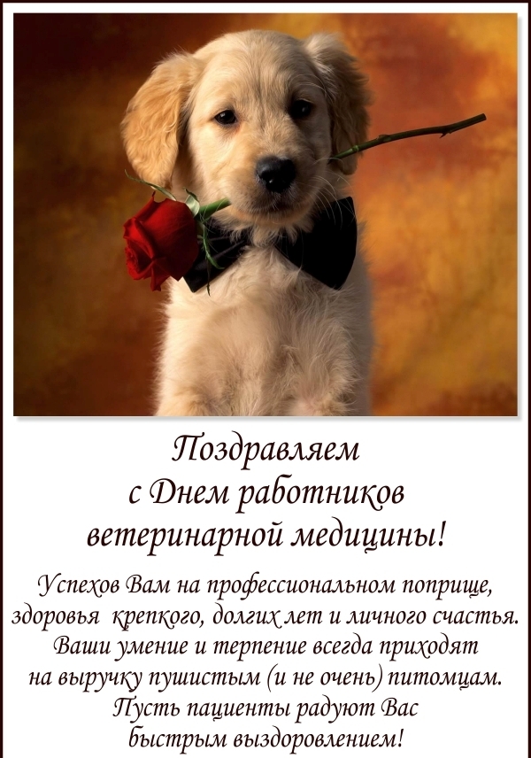Открытка Открытки с днем ветеринара - Открытка с щенком: День ветеринара  Поздравления | Красивая открытка #1