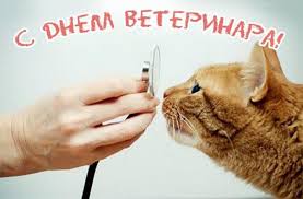 Открытка Открытки с днем ветеринара - Открытка с рыжим котом на приеме у ветеринара | Красивая открытка #10