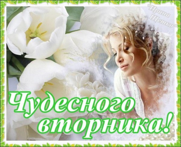 Открытка Открытки на вторник - Открытка с цветущей сакурой и девушкой | Красивая открытка #158