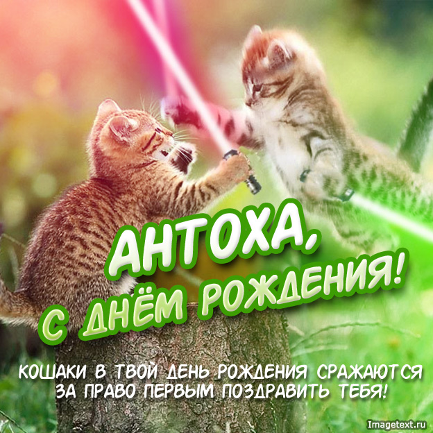 Открытка открытки с именем Антон  - С Днём Рождения! Открытка с котиками - Imagetext.ru | Красивая открытка #3