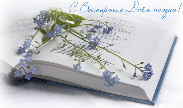 Открытка С Всемирным днём поэзии - Открытка с васильками на книге | Красивая открытка #38