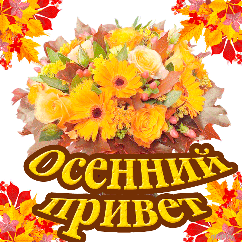 Открытка осенний привет - Осенний привет | Красивая открытка #6