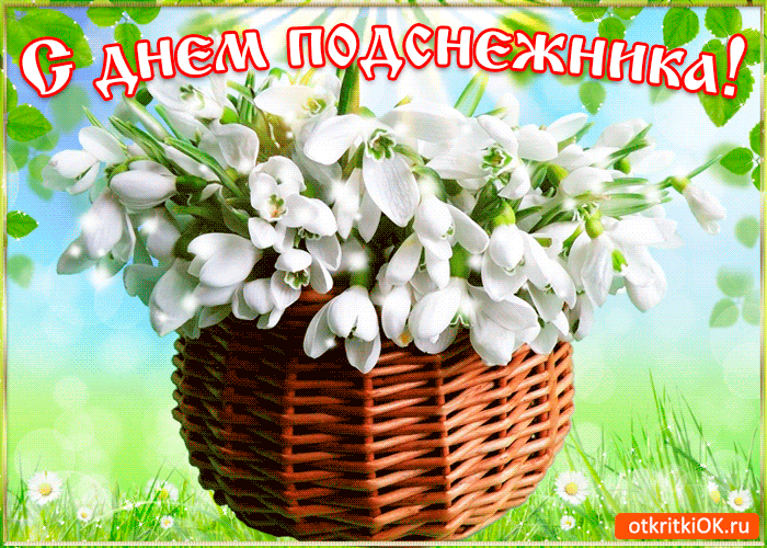 Открытка С днём подснежника - Цветы в корзине: весенняя открытка с цветами | Красивая открытка #68