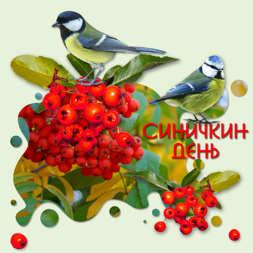 Открытка Синичкин день - Открытка с синичками и рябиной  С Днём! | Красивая открытка #4