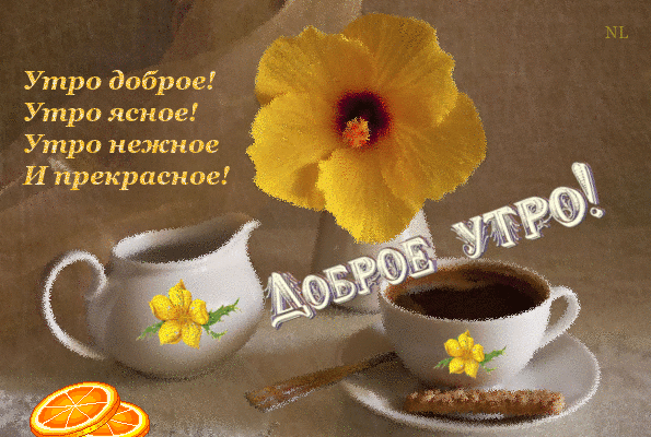 Открытка открытки с добрым утром - Утро доброе: Открытка с чашкой кофе и цветком | Красивая открытка #49