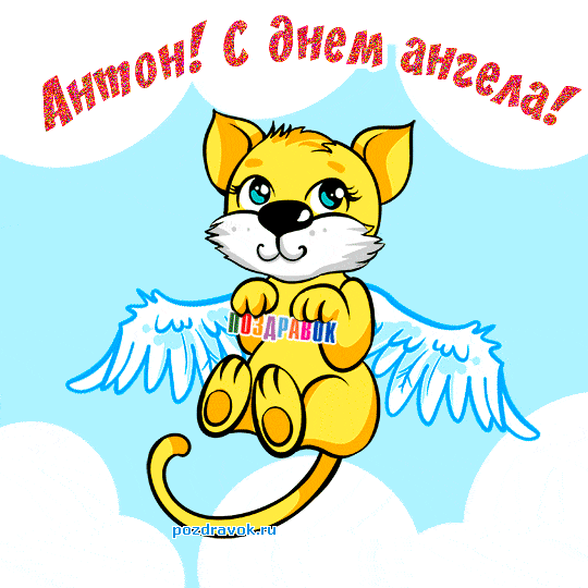 Открытка открытки с именем Антон  - Открытка с ангелом: милый кот с крыльями | Красивая открытка #8