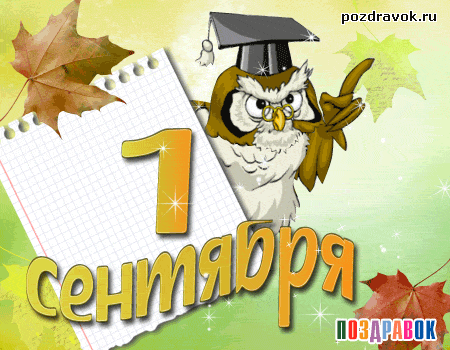 Открытка открытки на 1 сентября  - С Днём знаний! Открытка с совой и 1 сентября | Красивая открытка #112