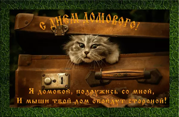 Открытка Открытки с днем домового - Котенок в чемодане: милая открытка с котиком | Красивая открытка #34