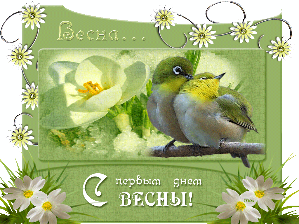Открытка  С первым днем весны - Открытка с птенцом на ветке и подснежником. | Красивая открытка #63