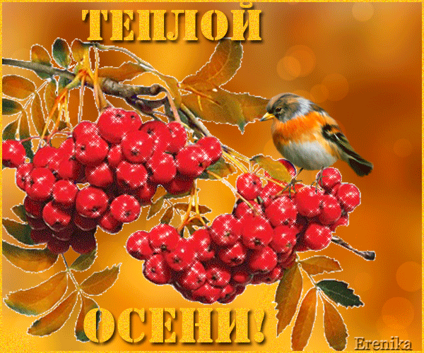 Открытка Открытки осенняя пора - Рябина и птица: открытка с осенним пейзажем | Красивая открытка #83