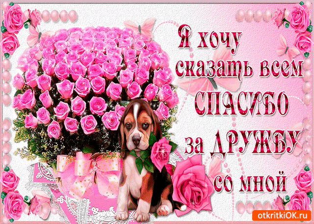 Открытка Открытки о дружбе - Открытка с щенком и розами: поздравления с днем рождения | Красивая открытка #179