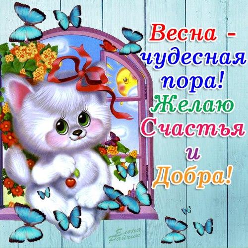 Открытка открытки с первым весенним днем - Открытка с котенком и цветами | Красивая открытка #19